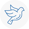 Bird Prevention Cockfosters