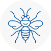 Cockfosters Hornet Nest Removals