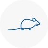 Mice Exterminators In Cockfosters