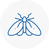 Moth Control Specialists In Cockfosters