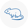 Rat Control Cockfosters