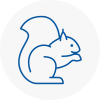 Cockfosters Rodent Removals