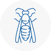 Cockfosters Wasp Nest Removal